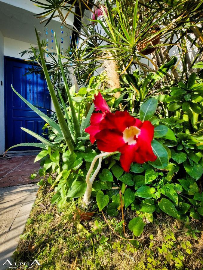 Tu Casa En El Caribe Apartman Cancún Kültér fotó