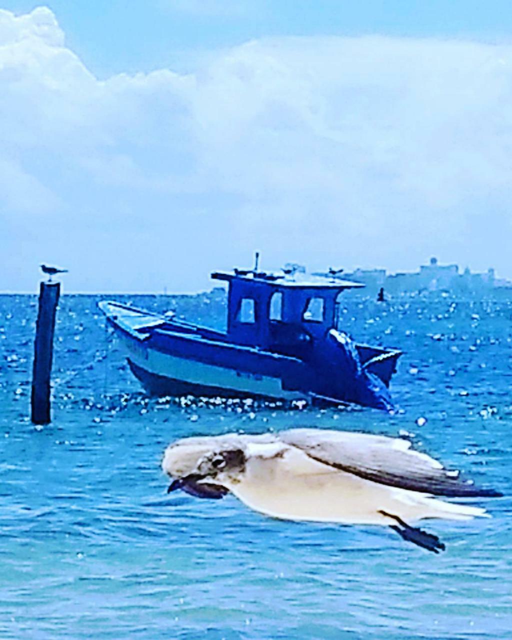 Tu Casa En El Caribe Apartman Cancún Kültér fotó